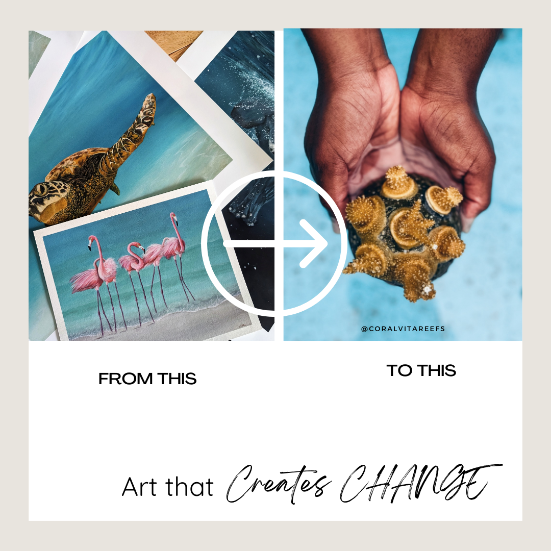 Art that Makes a Splash: Beautify Your Home and Protect the Ocean (1 minute read)