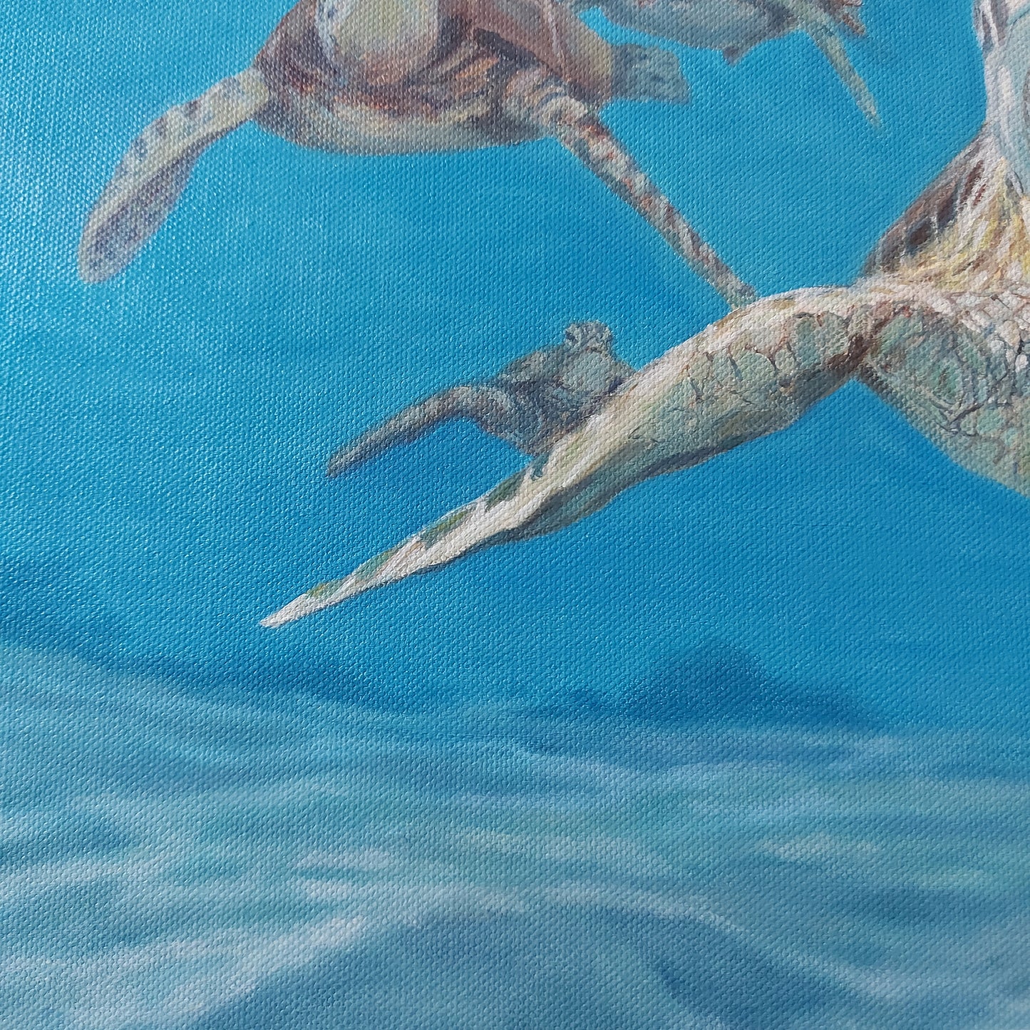 Ancestral Swim