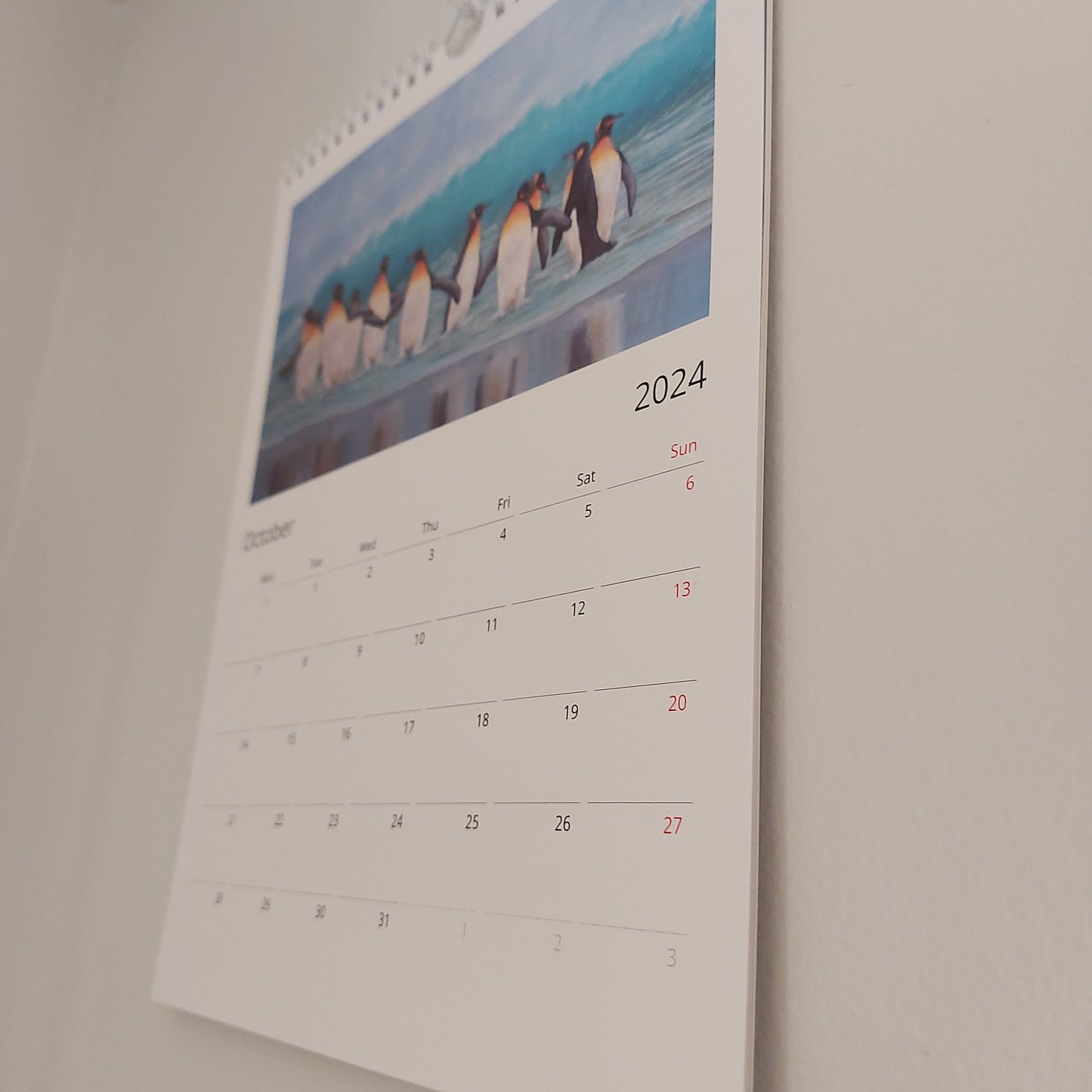 2024 Ocean Calendar!