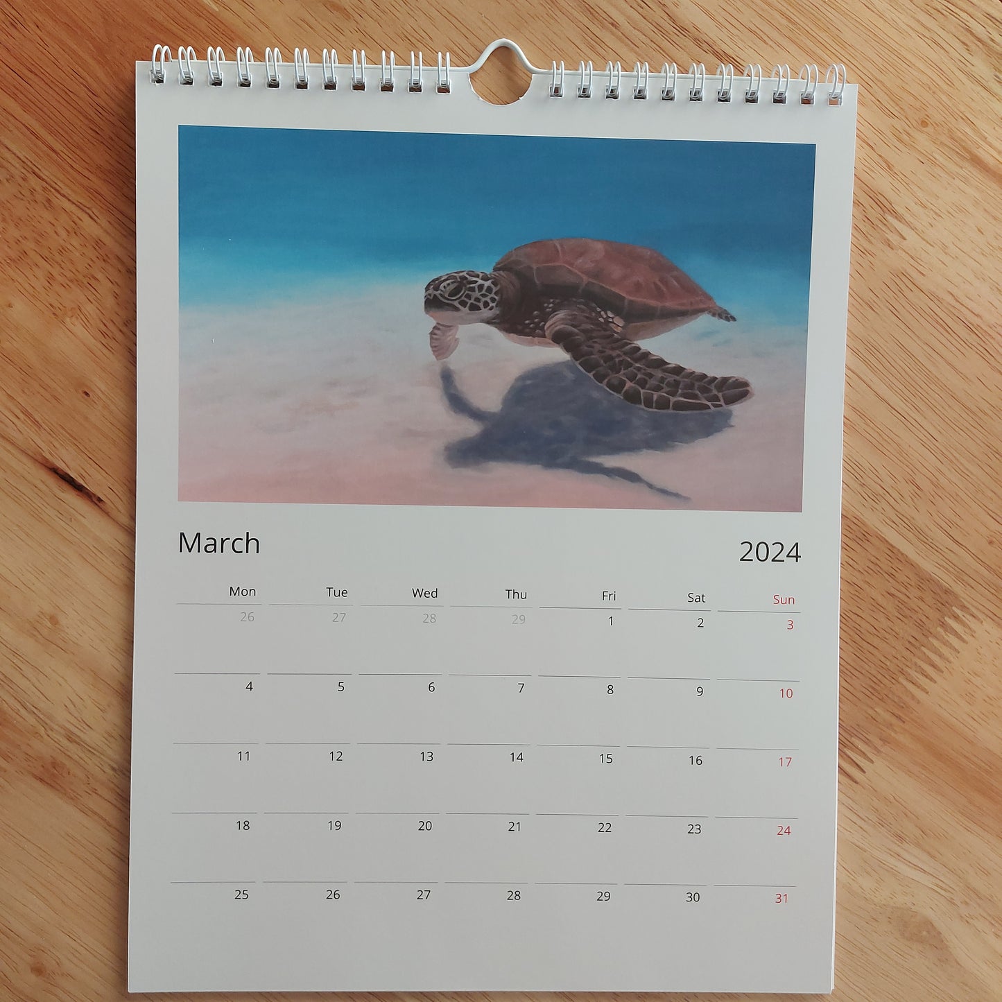 2024 Ocean Calendar!
