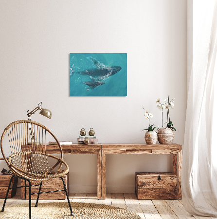 Aquatic Harmony Print