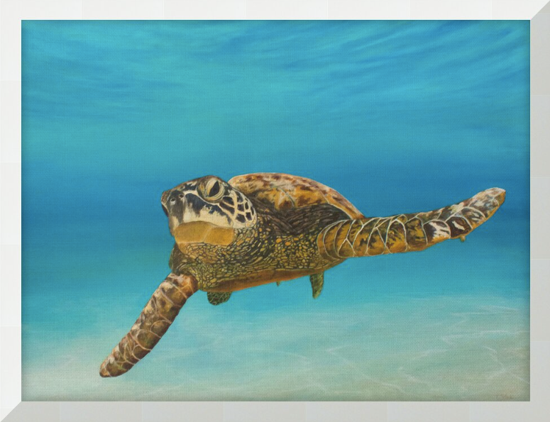 Colours of Life | Canvas Print