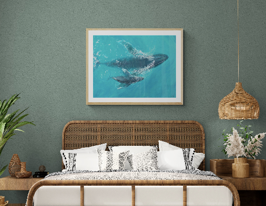 Aquatic Harmony | Fine Art Print