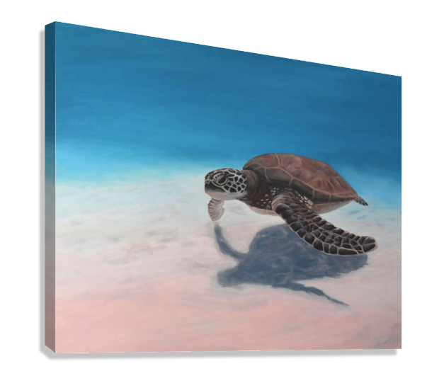 Dreamy Beach Bundle | Canvas Print
