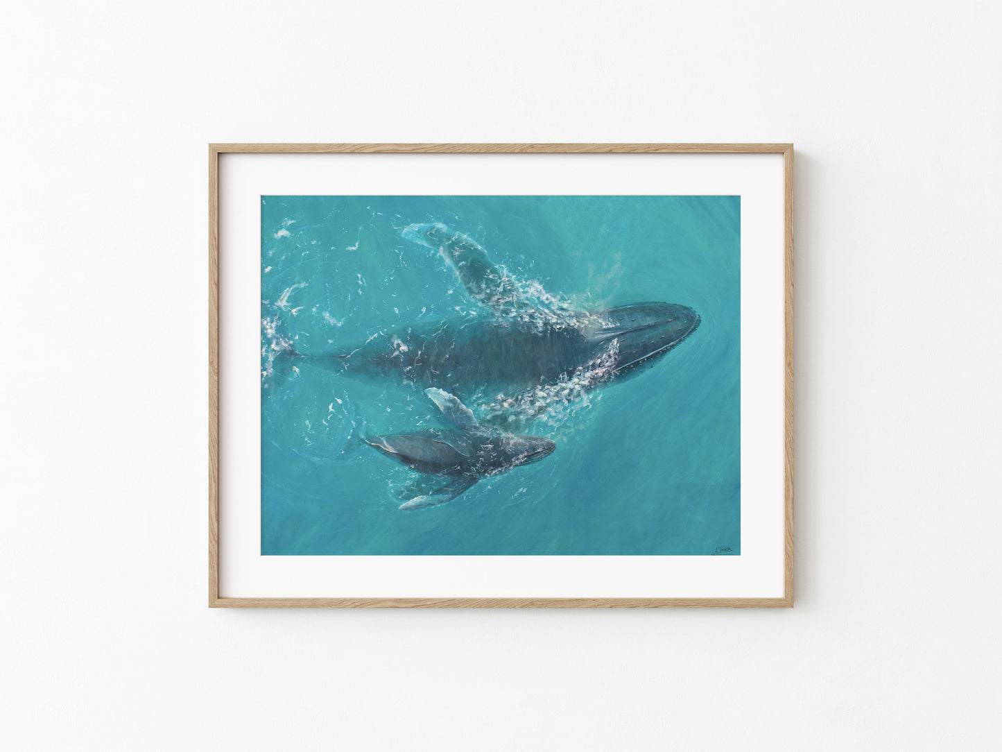 Aquatic Harmony | Fine Art Print