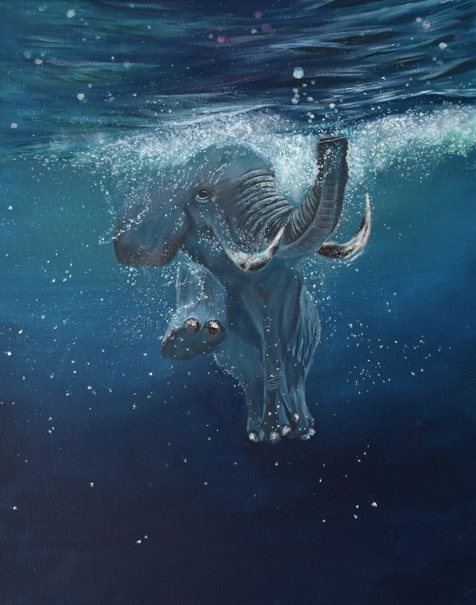 Out for a Swim | Fine Art Print