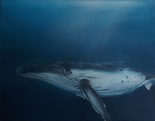 Pacific is an acrylic painting on canvas by Katherine Polack of an adult humpback whale in dark blue water as its left eye watches the viewer. Feel the calming presence as you lock eyes with this altruistic mammal swimming the dark blue ocean as the light shines through the surface. "Pacific" is 11 x 14" acrylic on canvas.