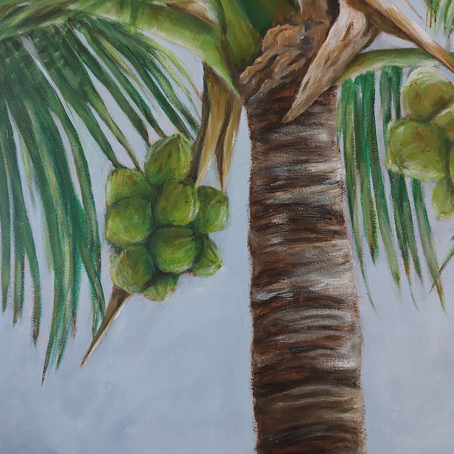 Coconuts & Palms is a close up painting of a coconut palm tree on a warm summer day as the sun peaks through the clouds and shines brightly on some of the leaves. The painting is 24 x 30" oil on canvas by Katherine Polack