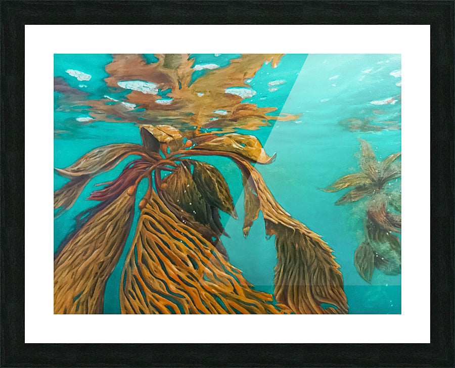 Framed Print