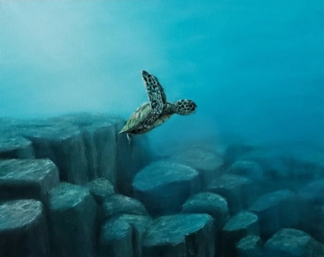 An acrylic painting of a baby turtle swimming over rocks in the deep blue ocean. After snorkeling in Molokini Crater in Maui, I learned that this location inspired the creators of Finding Nemo to write the famous "drop-off" scene. I felt an urge to capture this moment as a painting thanks to photographer Jeremy Bishop. 16 x 20" acrylic on canvas