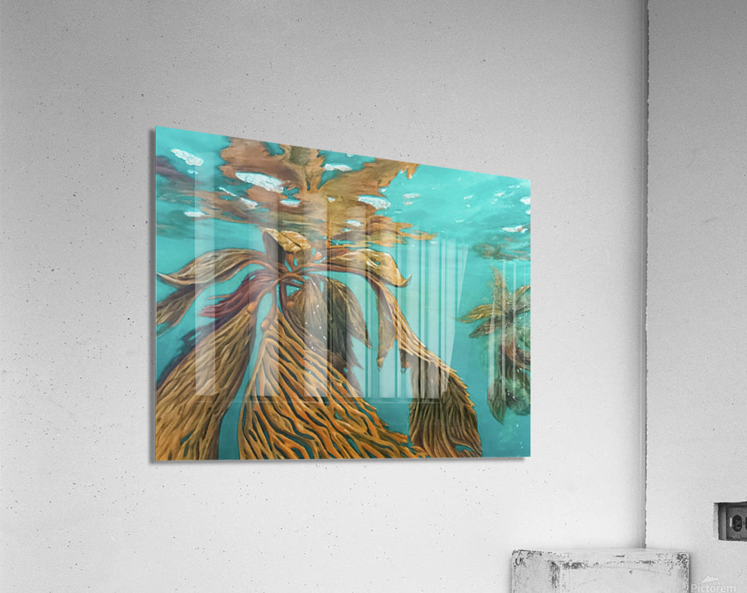 Acrylic Print