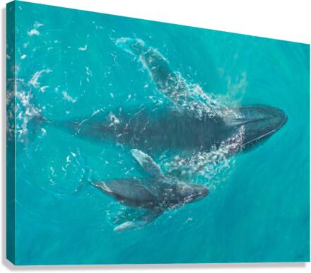 Giclée Stretched Canvas Print