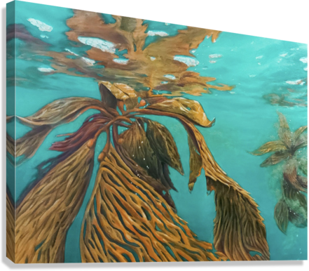 Giclée Stretched Canvas Print