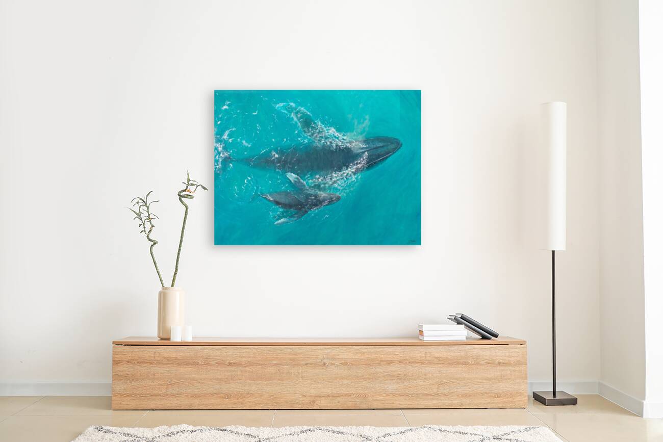 Aquatic Harmony Print