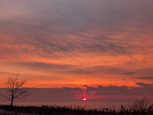 Why Sunrises Make You Feel So Alive (There's Actually a Science to It)