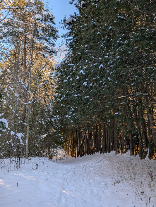 Even stillness is full of motion