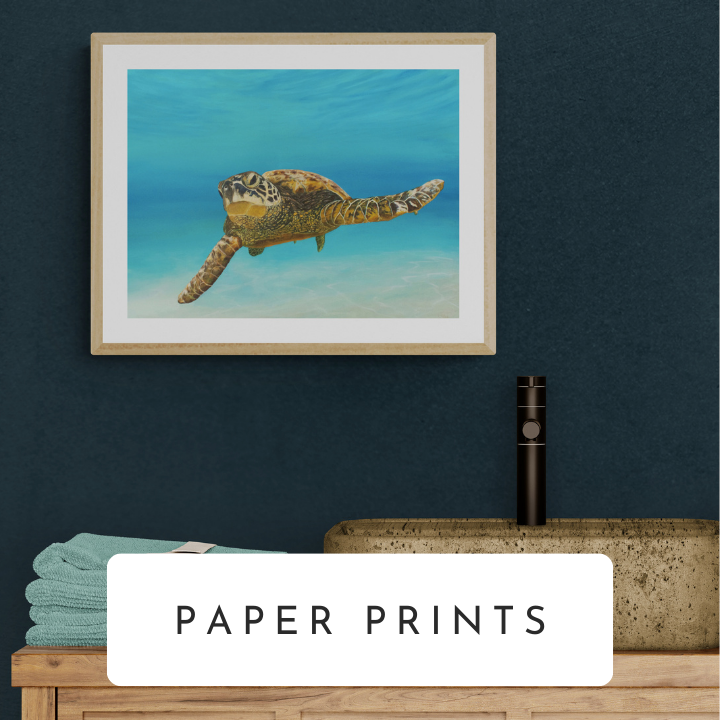 Paper Prints (Framed & Unframed)