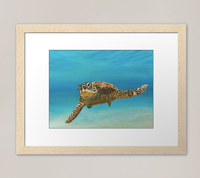 Limited Edition Prints