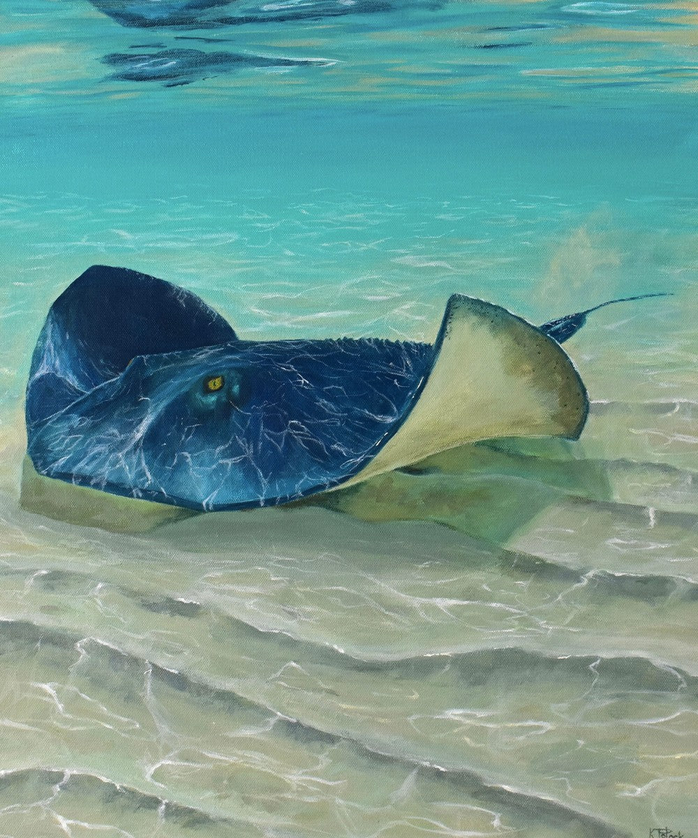 casting rays print