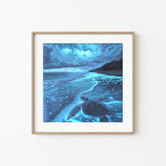 Glimmer (Prints)