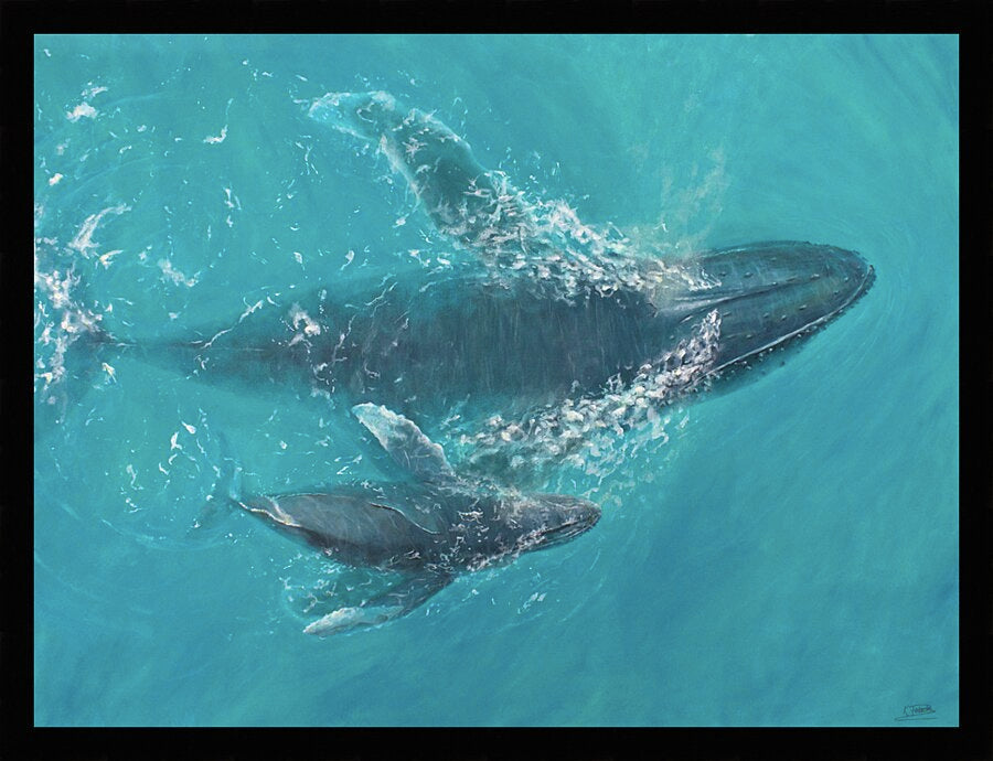 Aquatic Harmony | Canvas Print