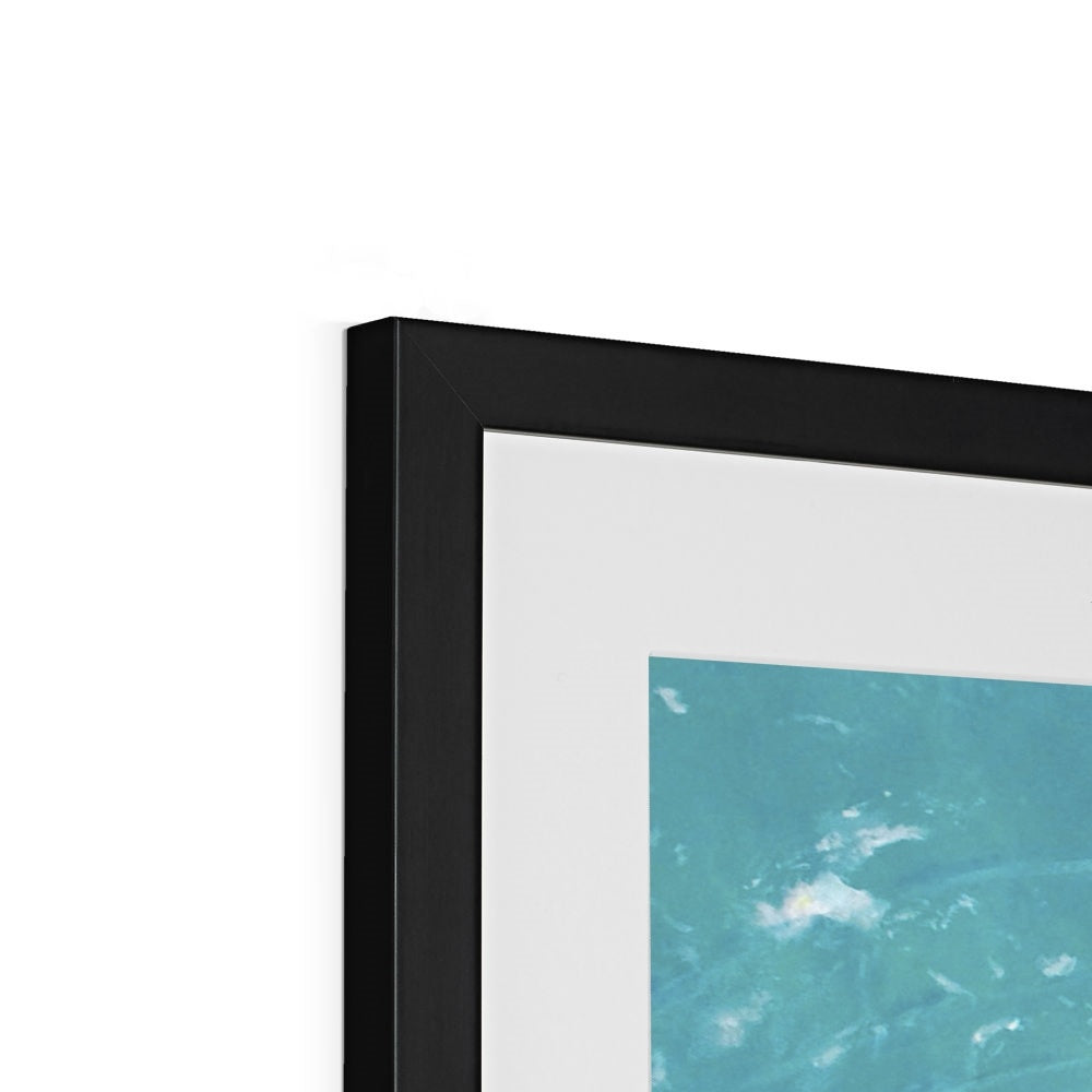 Aquatic Harmony | Fine Art Print