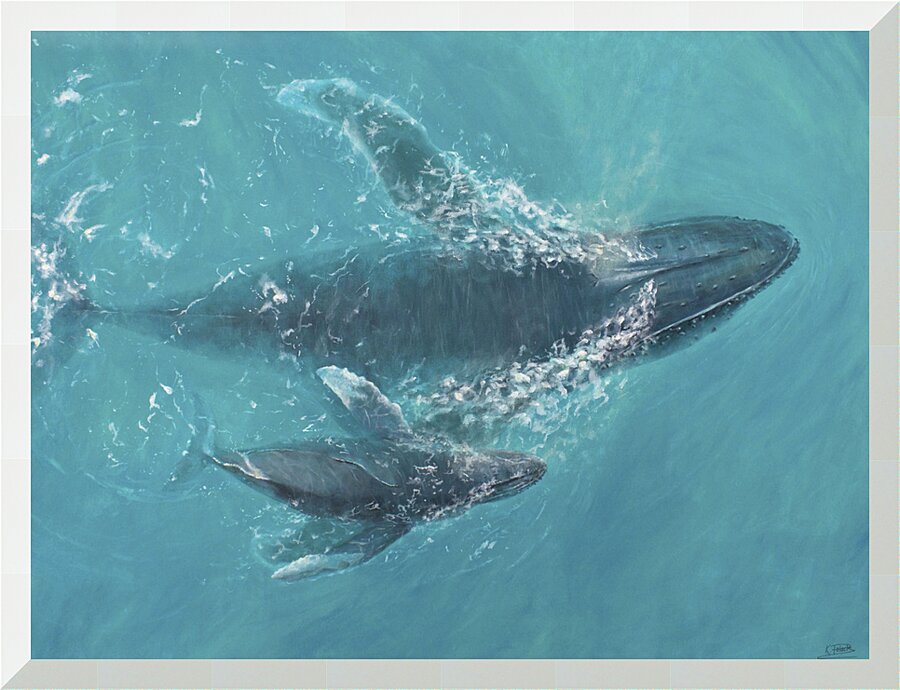 Aquatic Harmony | Canvas Print