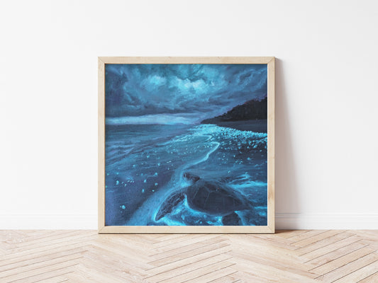 Glimmer (Prints)