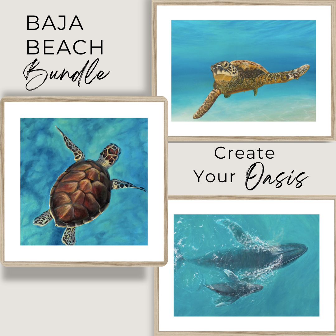 Baja Beach| Print Bundle