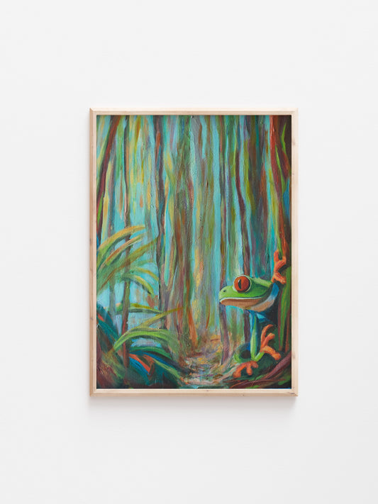 Through The Rainforest (Prints)