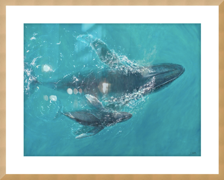 Aquatic Harmony | Fine Art Print