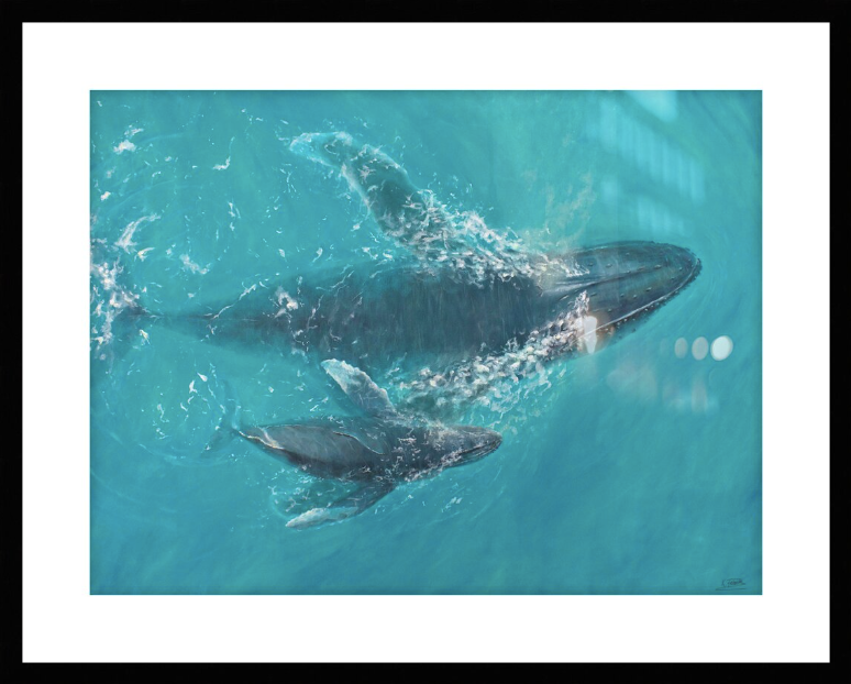 Aquatic Harmony | Fine Art Print