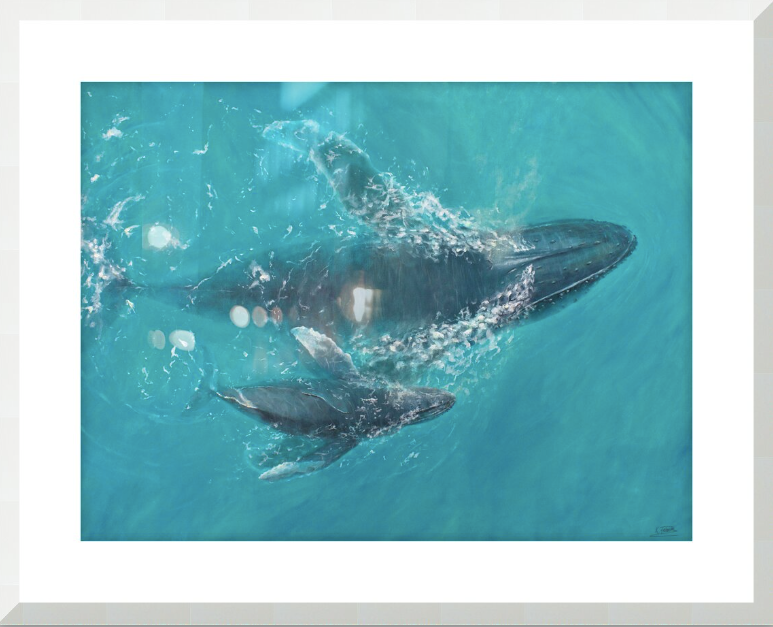 Aquatic Harmony | Fine Art Print