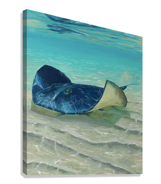 Free Diver Bundle | Canvas Print