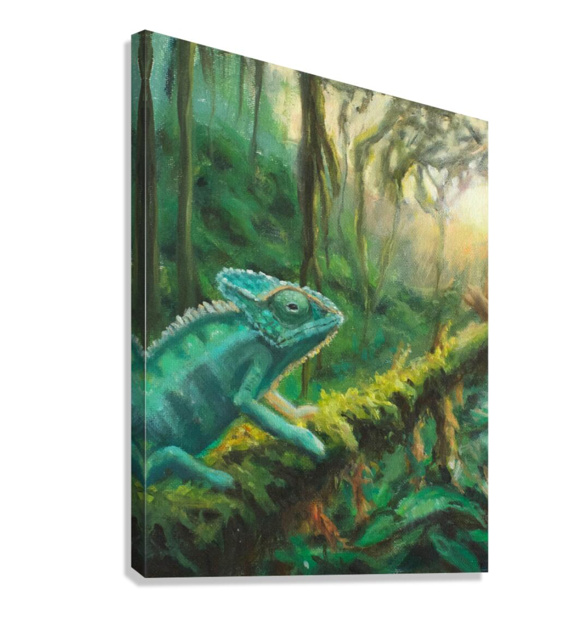 Explorer (Prints) | Katherine Polack