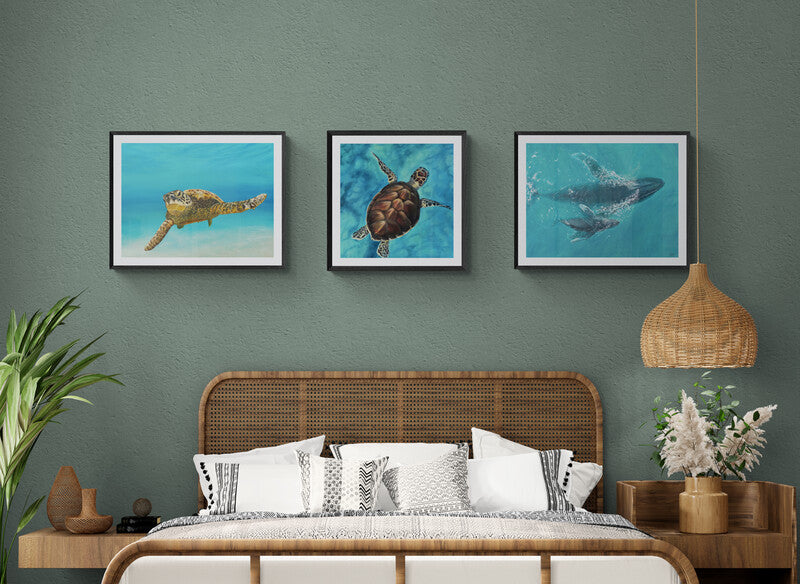 Baja Beach Bundle | Fine Art Paper Print