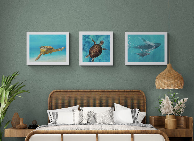 Baja Beach Bundle | Fine Art Paper Print