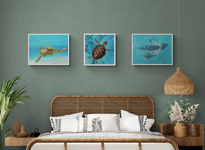 Baja Beach Bundle | Canvas Print