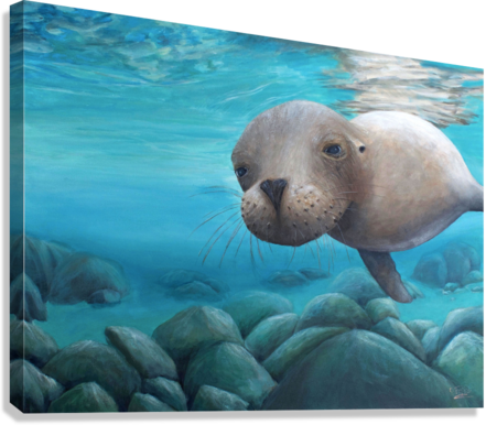 Free Diver Bundle | Canvas Print