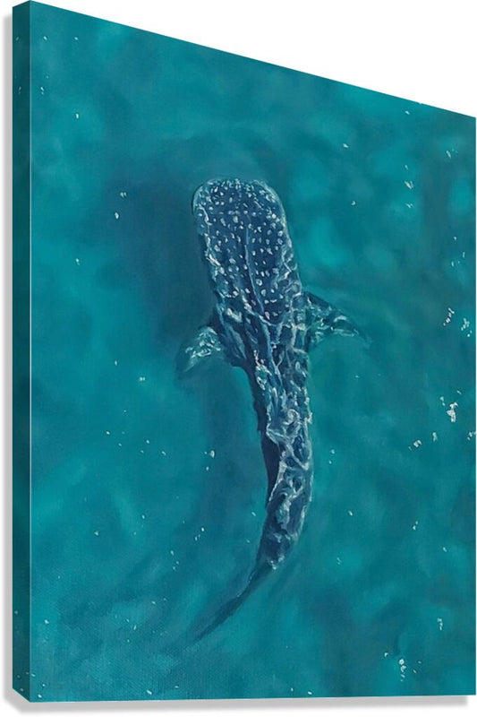 Giclée Stretched Canvas Print