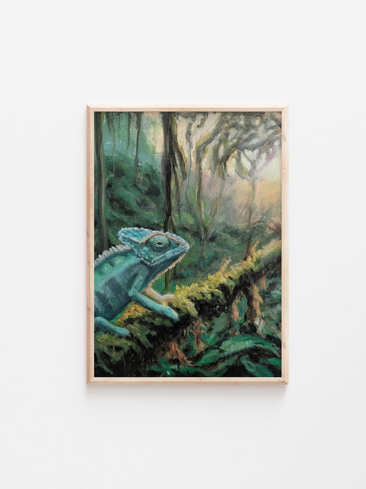 Explore (Prints)