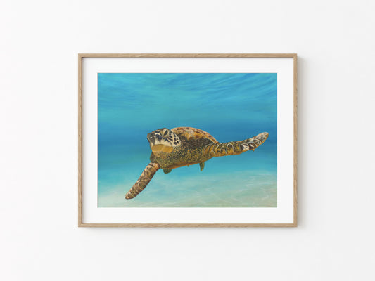 Colours of Life | Fine Art Print
