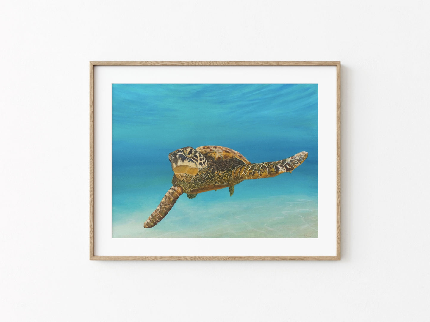 Colours of Life | Fine Art Print