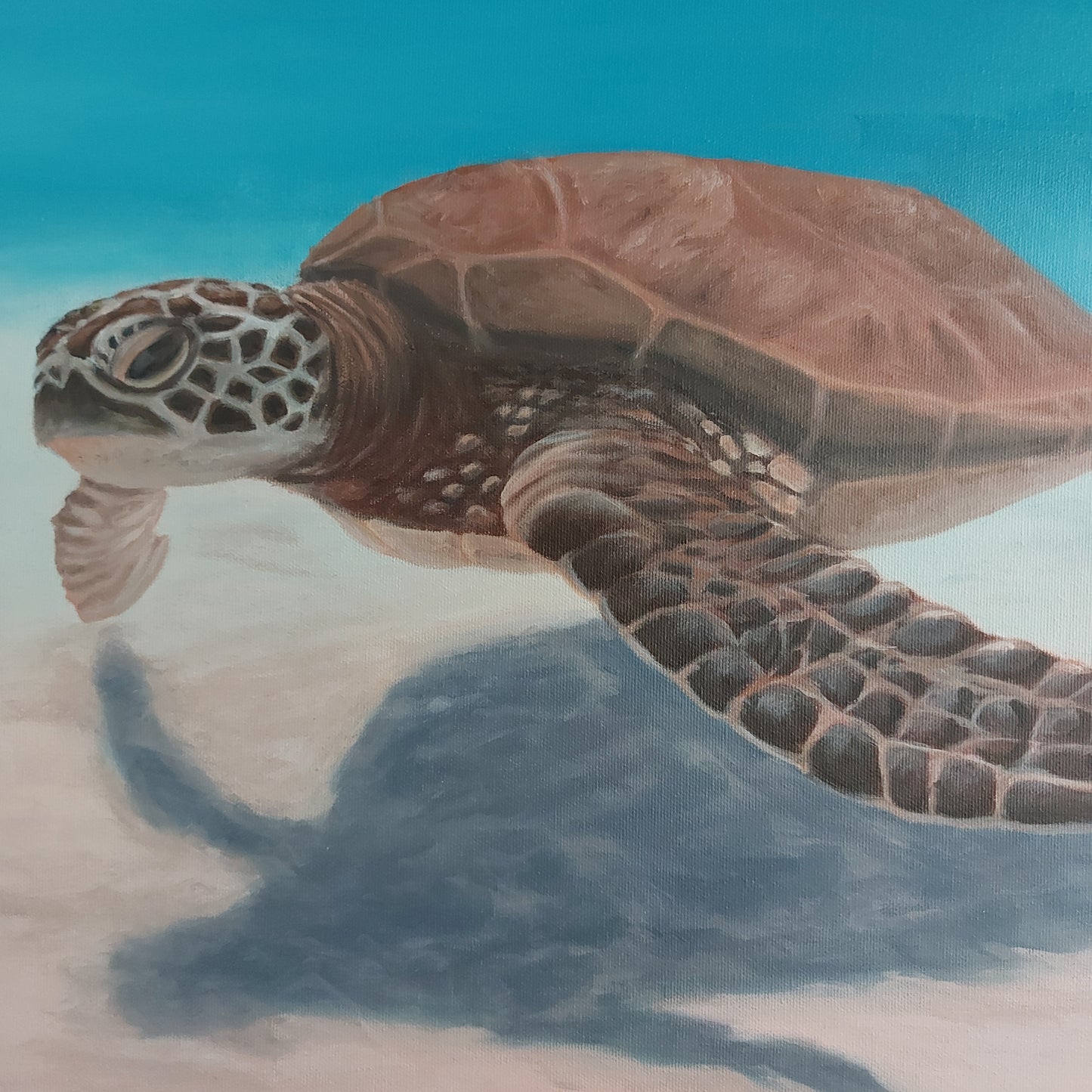 Large sea turtle painting on canvas in soft blue and blush tones