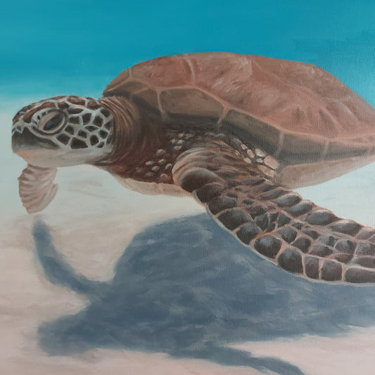 Large sea turtle painting on canvas in soft blue and blush tones