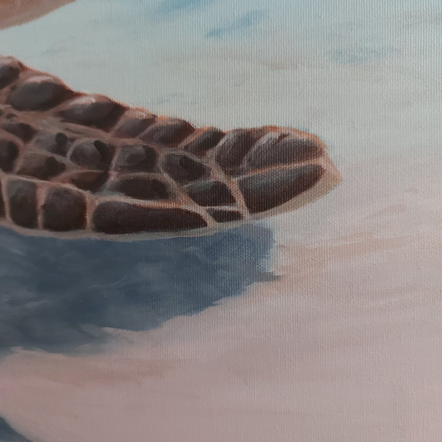 Large sea turtle painting on canvas in soft blue and blush tones
