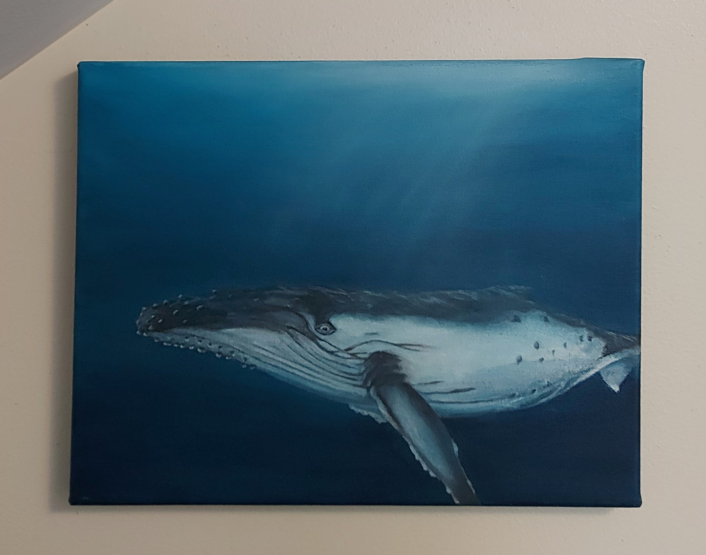 Pacific is an acrylic painting on canvas by Katherine Polack of an adult humpback whale in dark blue water as its left eye watches the viewer. Feel the calming presence as you lock eyes with this altruistic mammal swimming the dark blue ocean as the light shines through the surface. "Pacific" is 11 x 14" acrylic on canvas.