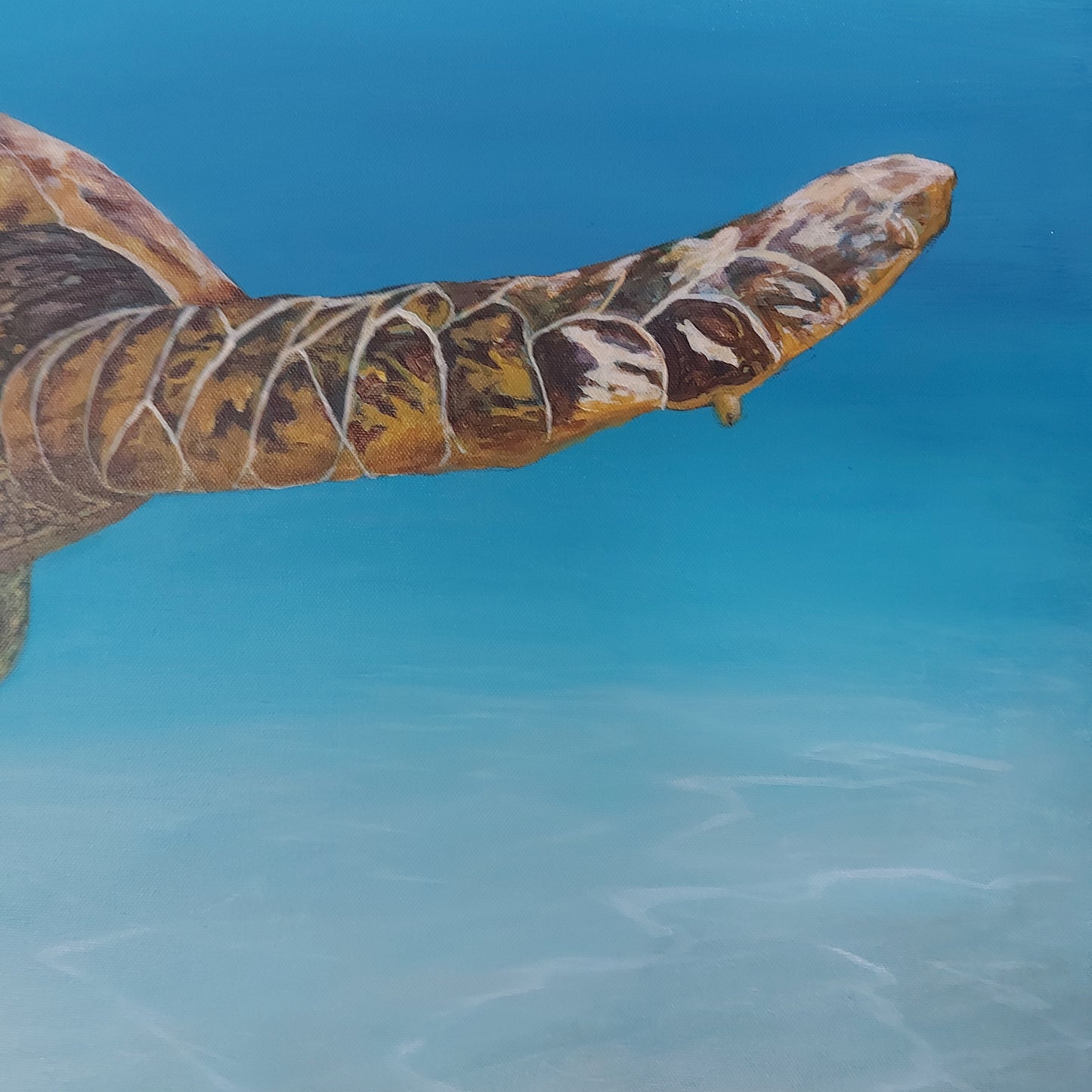 Colours of Life is an acrylic painting on canvas by Katherine Polack of a giant sea turtle underwater. The turtle is facing the viewer, gliding and swimming gracefully to remind us of the beauty and colours that exist in this world. The painting is 24 x 36" acrylic on canvas