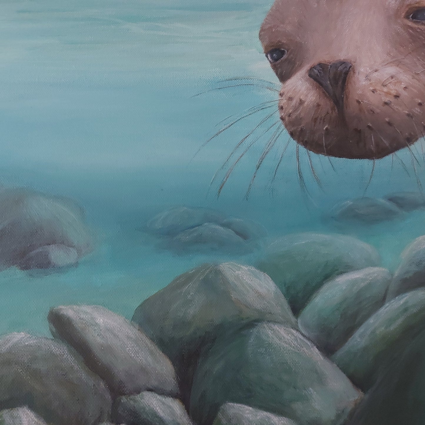 Curious is an acrylic painting by Katherine Polack of a sea lion underwater facing the viewer as it swims in light blue water with large rocks underneath it. When curiosity and cuteness meet! BC photographer Shelton Dupreez captured this intriguing moment in the Galapagos on one of his expeditions supporting wildlife conservation. 18 x 24" acrylic on canvas-Katherine Polack