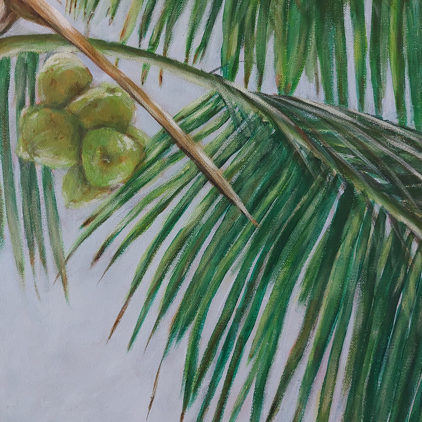 Coconuts & Palms is a close up painting of a coconut palm tree on a warm summer day as the sun peaks through the clouds and shines brightly on some of the leaves. The painting is 24 x 30" oil on canvas by Katherine Polack